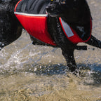 Dog Flotation PFD product image 6