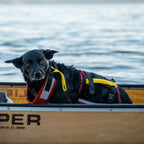 Dog Flotation PFD product image 7