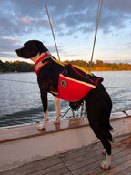 Dog Flotation PFD product image 10
