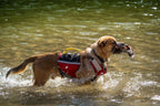 Dog Flotation PFD product image 11