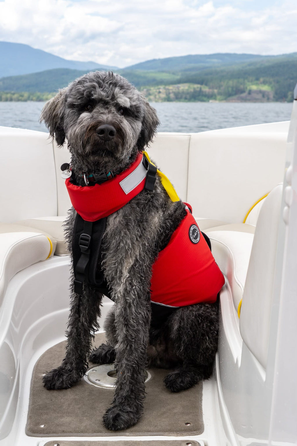 Dog Flotation PFD product image 12