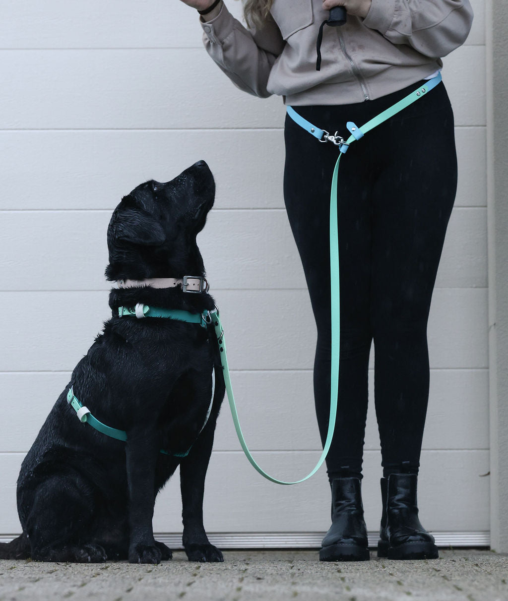 Hands-Free Dog Leash product image 1
