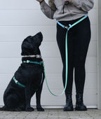 Hands-Free Dog Leash product image 1