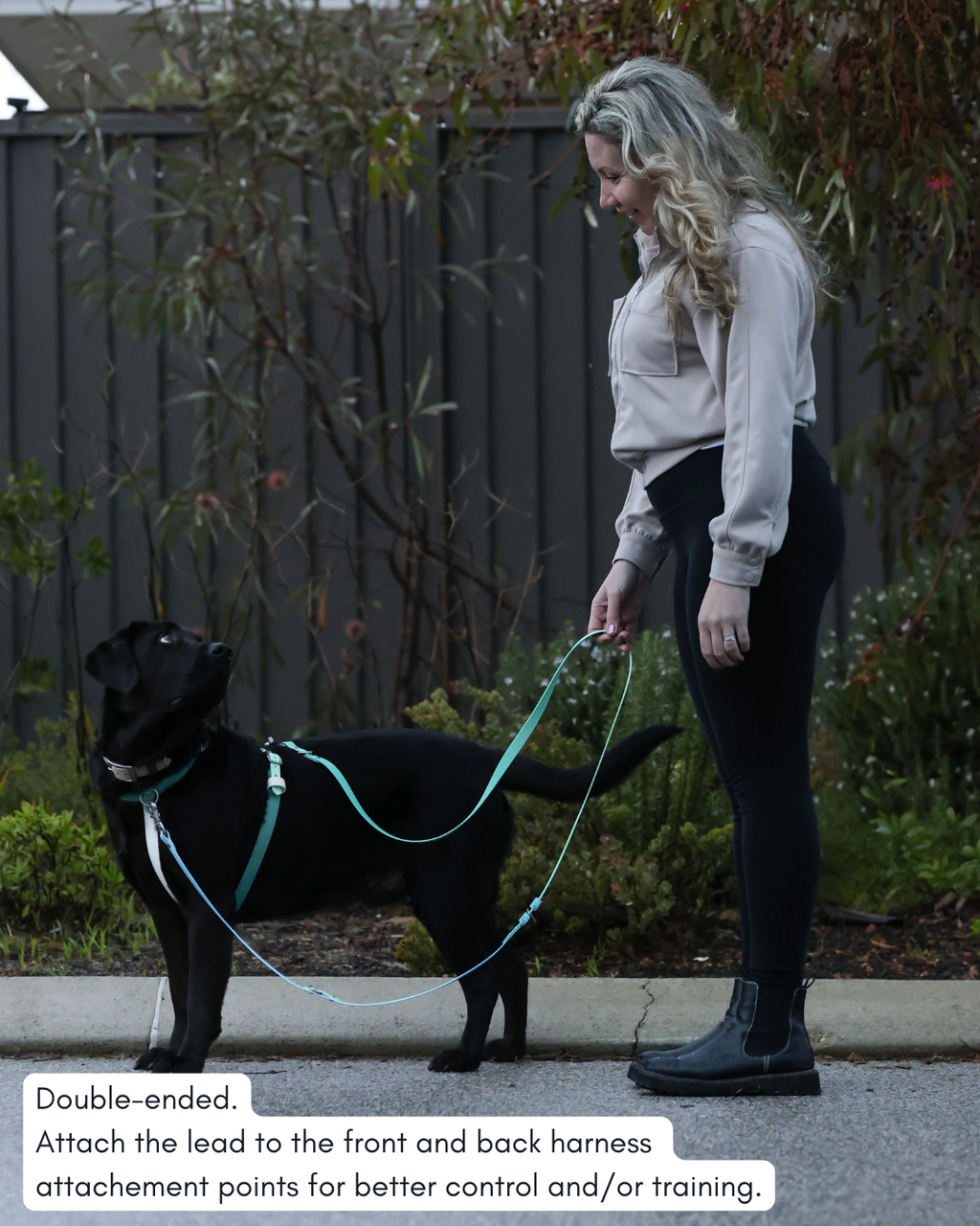 Hands-Free Dog Leash product image 3