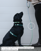 Hands-Free Dog Leash product image 4