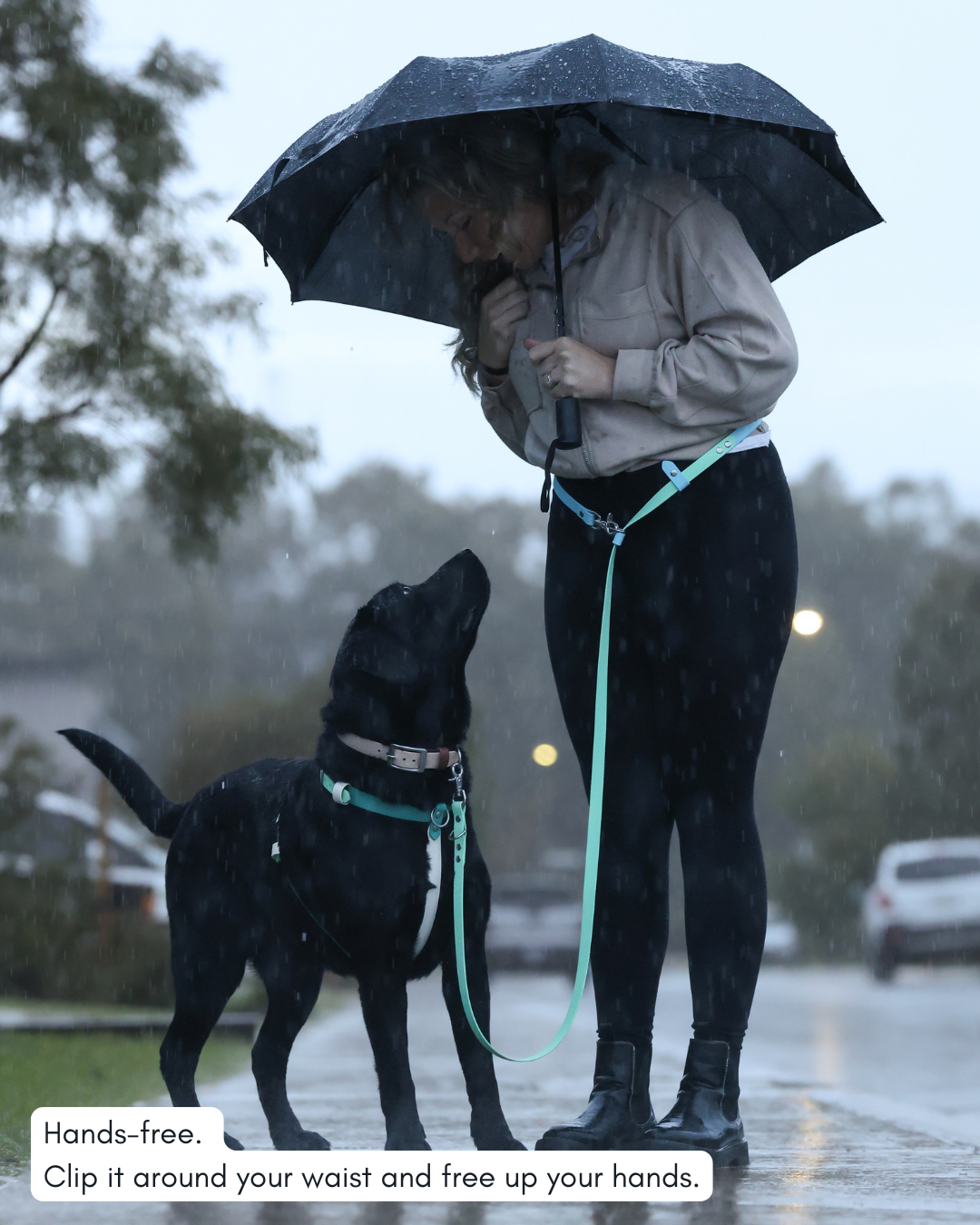 Hands-Free Dog Leash product image 5