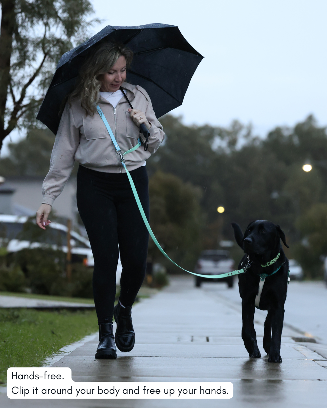 Hands-Free Dog Leash product image 6