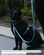 Hands-Free Dog Leash product image 7