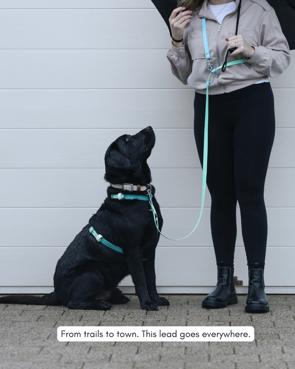 Hands-Free Dog Leash product image 8