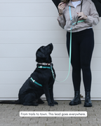 Hands-Free Dog Leash product image 8