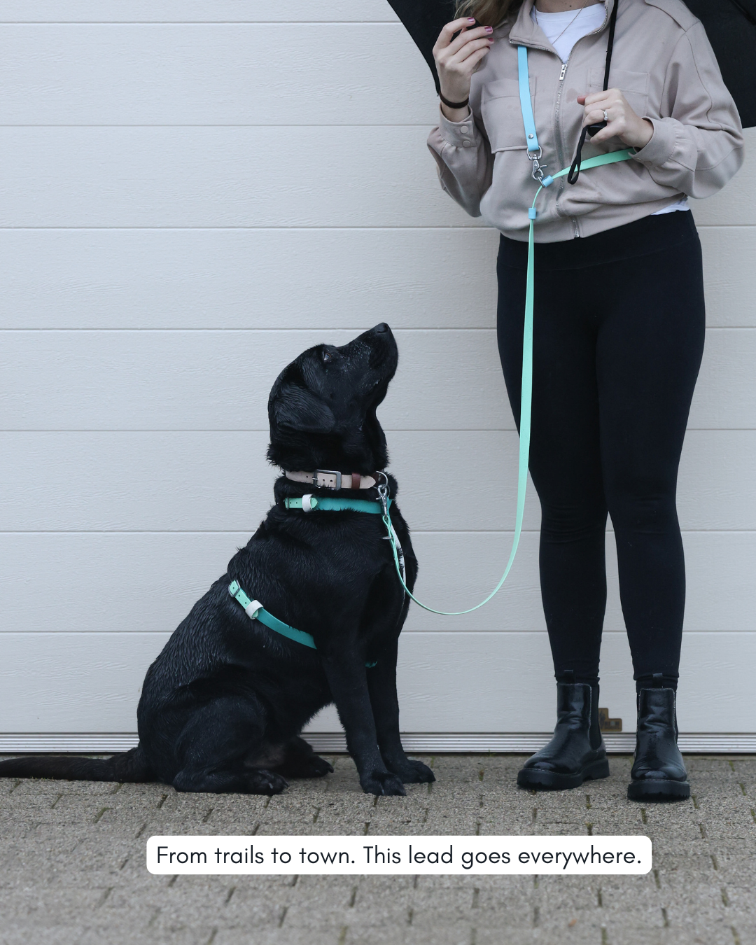 Hands-Free Dog Leash product image 8