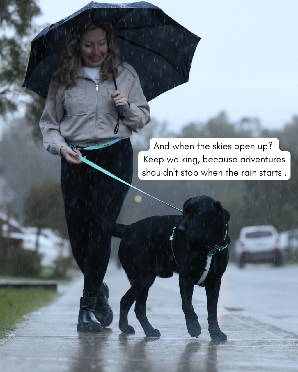 Hands-Free Dog Leash product image 9