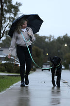 Hands-Free Dog Leash product image 10