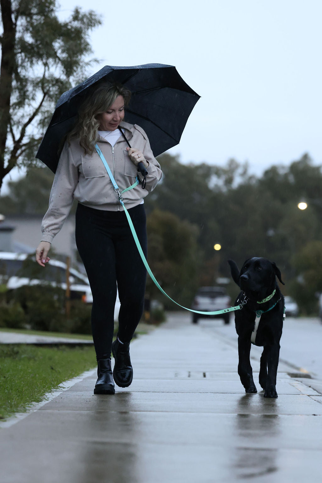 Hands-Free Dog Leash product image 10