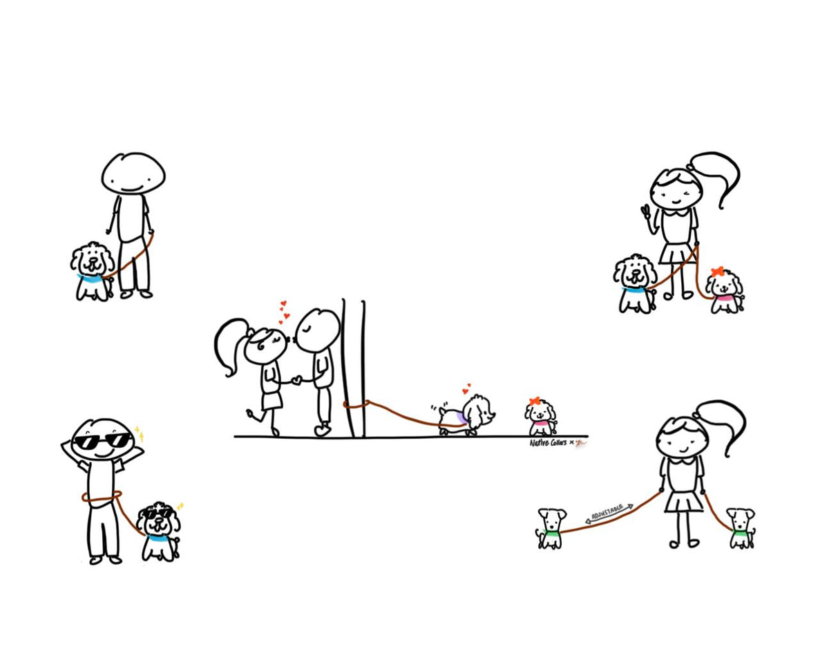 Hands-Free Dog Leash product image 13