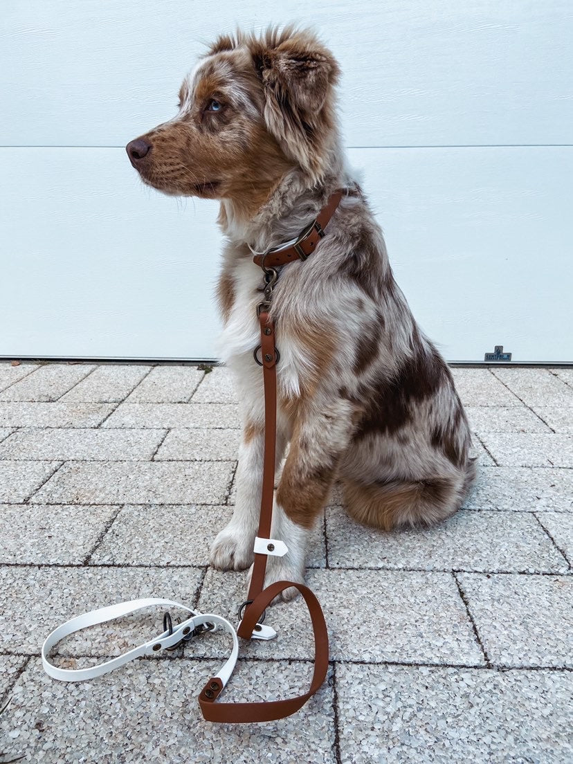 Hands-Free Dog Leash product image 14