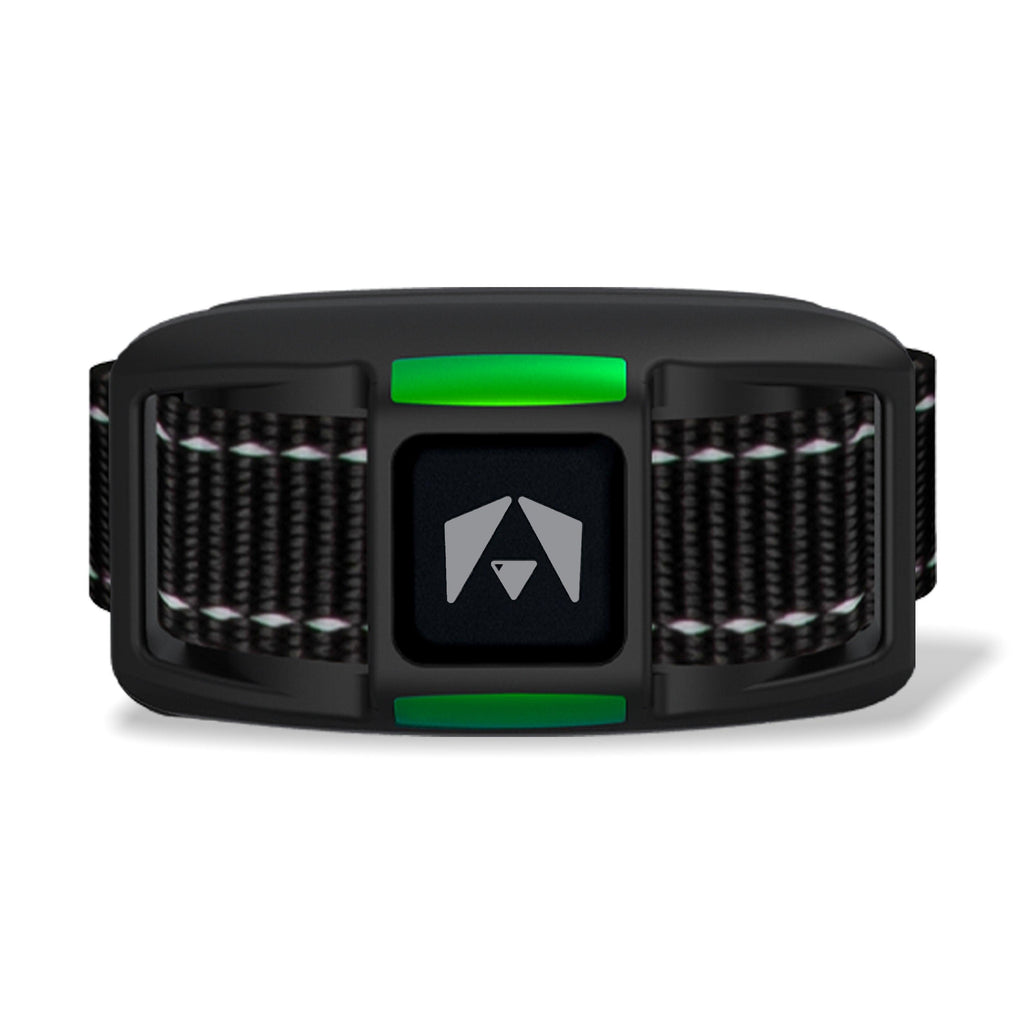 Replacement Dog Training Collar Receiver product image 1