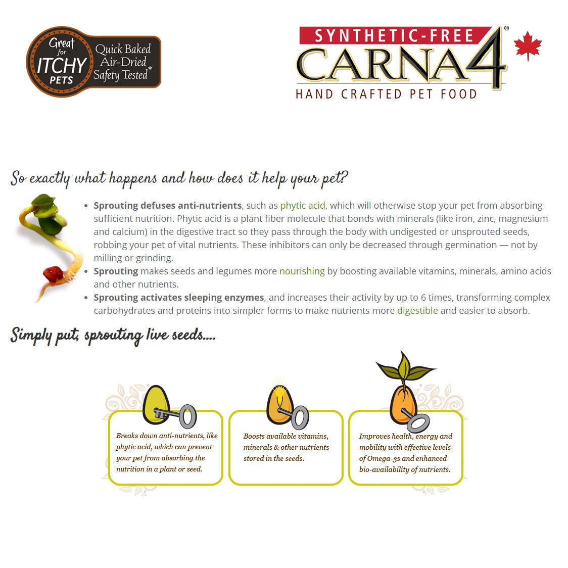 Dry Dog Food product image 7