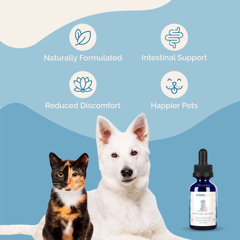 Herbal Cat Digestive Supplement product image 4