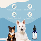 Herbal Cat Digestive Supplement product image 4