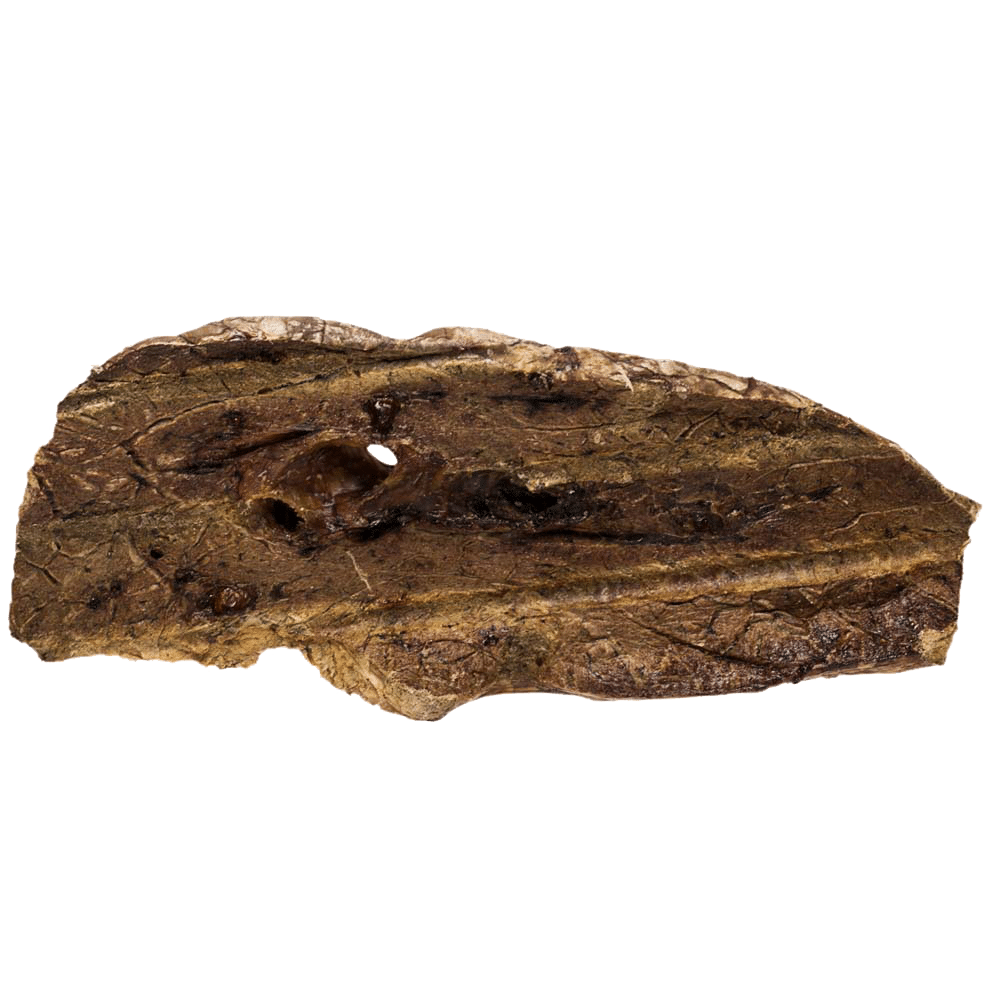 Dog Treats product image 4