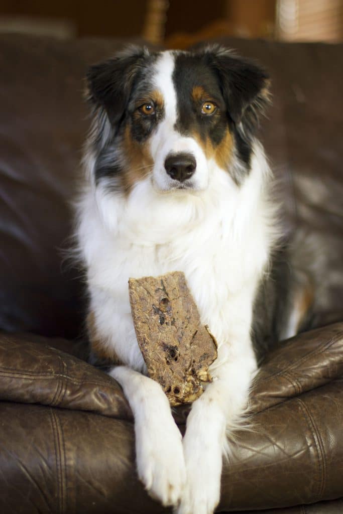 Dog Treats product image 5