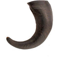 Buffalo Horn Dog Chew product image 1