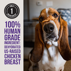 Dehydrated Chicken Jerky product image 3