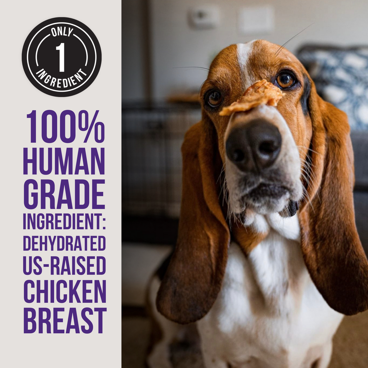 Dehydrated Chicken Jerky product image 3