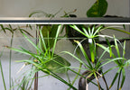 Double-Row Planted Aquarium LED Light product image 22