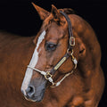 Hybrid Horse Headcollar product image 1