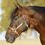 Hybrid Horse Headcollar product image 2