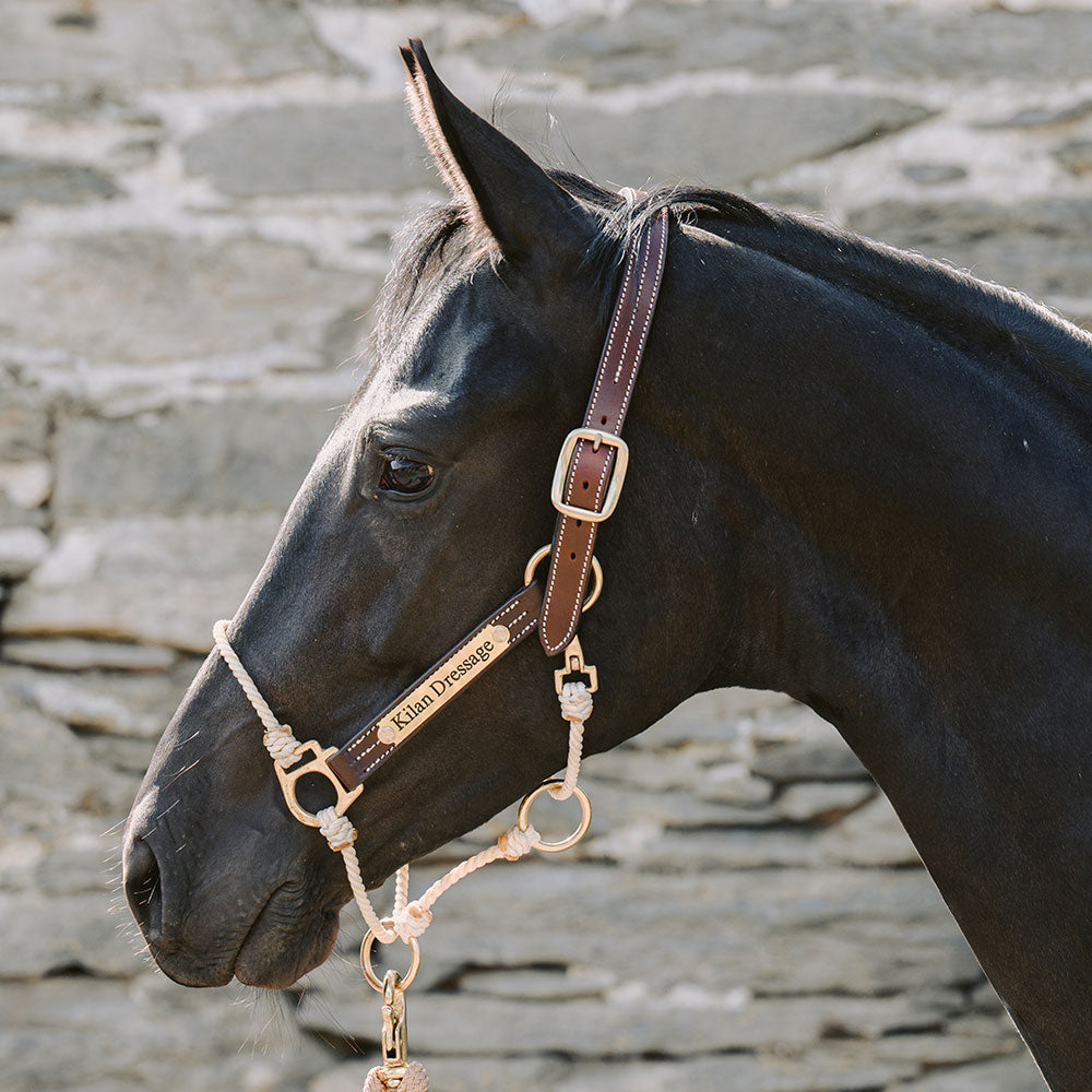 Hybrid Horse Headcollar product image 4