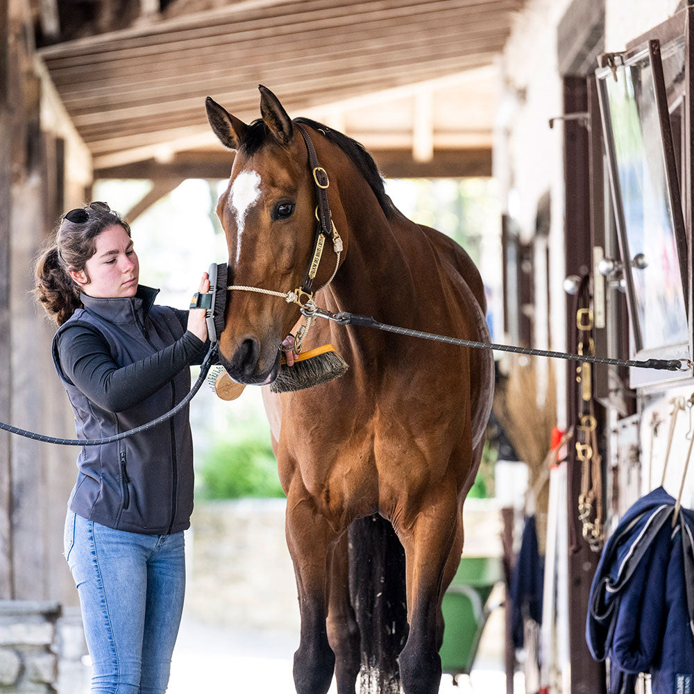 Hybrid Horse Headcollar product image 5