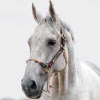 Leather Horse Halter product image 1