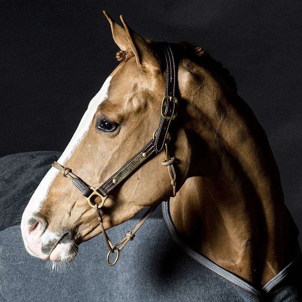 Leather Horse Halter product image 3