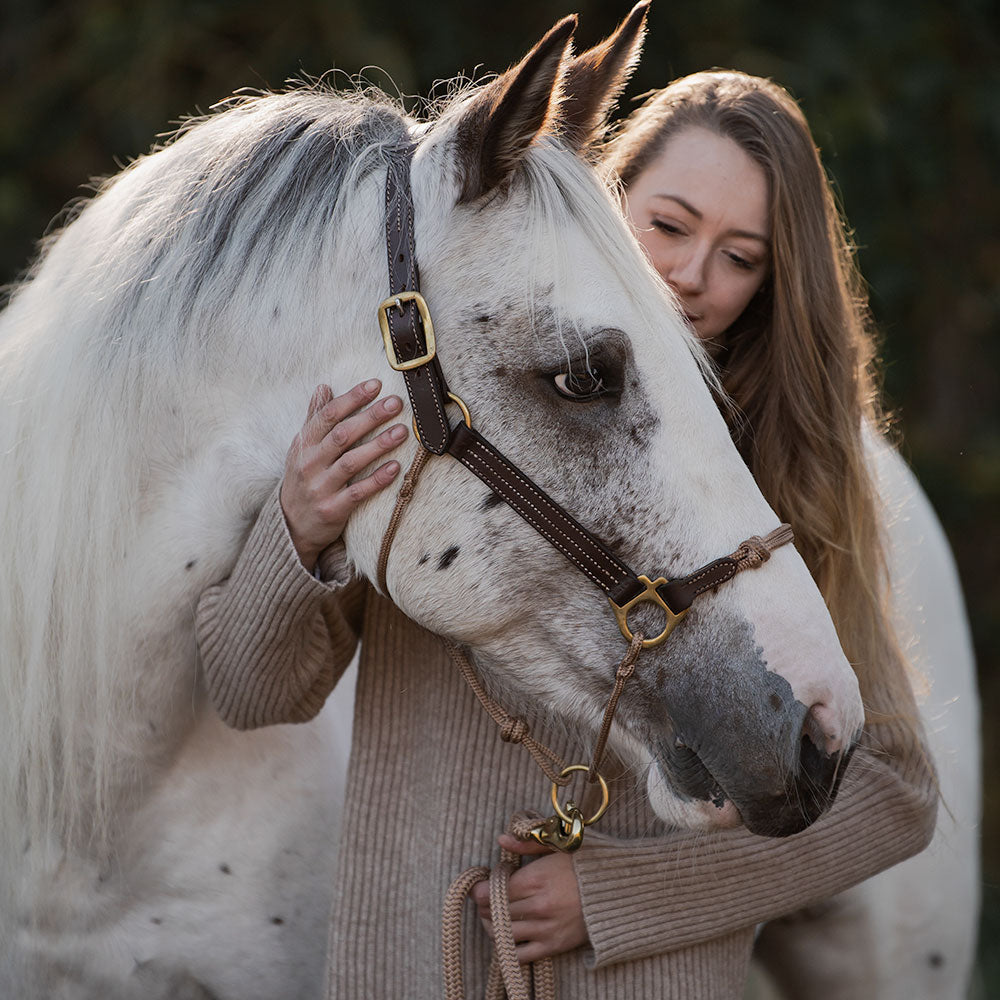 Leather Horse Halter product image 5