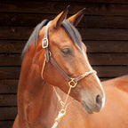 Leather Horse Halter product image 6