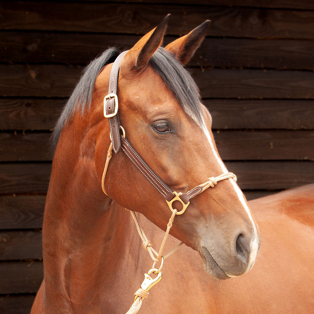 Leather Horse Halter product image 6