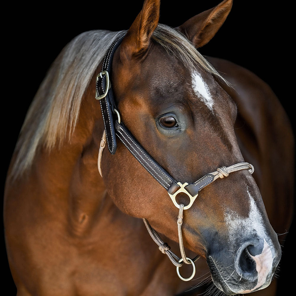 Leather Horse Halter product image 9