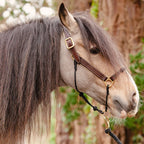 Leather Horse Halter product image 11
