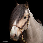 Leather Horse Halter product image 12