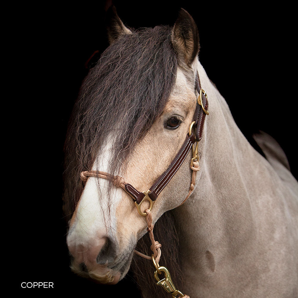 Leather Horse Halter product image 12