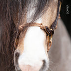 Leather Horse Halter product image 13