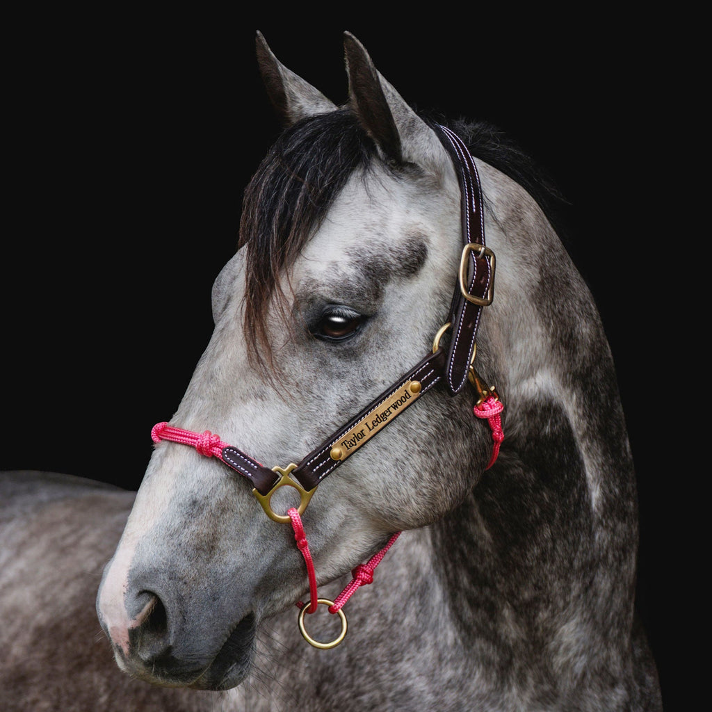 Leather Horse Halter product image 17