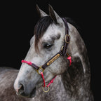 Leather Horse Halter product image 17