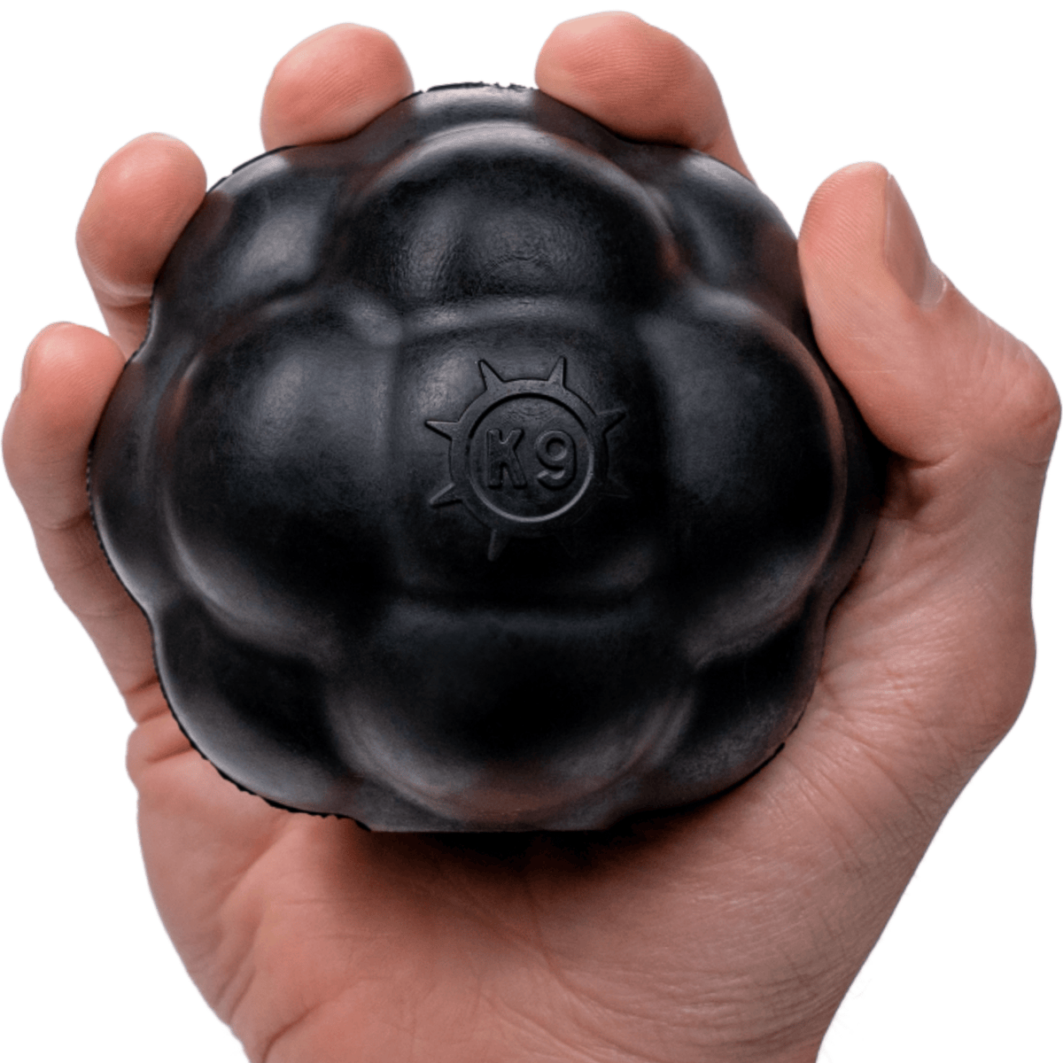 Dog Treat Ball product image 1