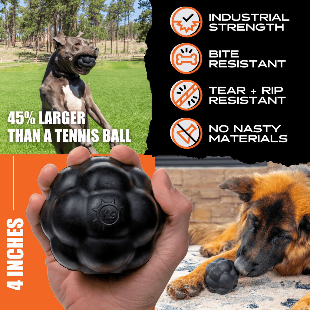 Dog Treat Ball product image 3