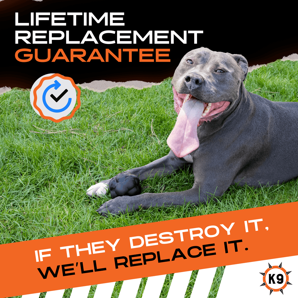 Dog Treat Ball product image 4
