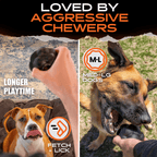Dog Treat Ball product image 5
